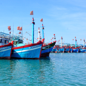 China falsely accuses Vietnamese fishermen of robbing other countries‘ fishing boats in the South China Sea