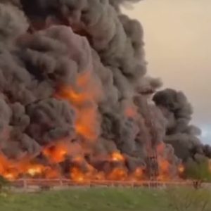 Các du kích quân Crimea đã giải phóng „con ngựa thành Troy“.