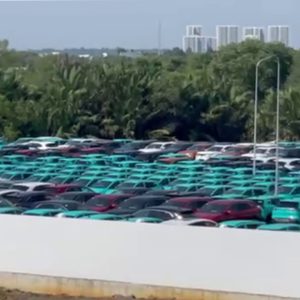 Vietnamese Vinfast owner was „poured cold water“ by Cambodian Prime Minister!