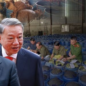 Lộ 3.500 tấn giá đỗ hóa chất đầu độc người tiêu dùng. Tô Lâm có thấu?