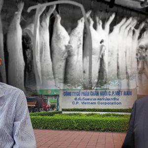 Một mình giật sập đế chế “heo bẩn”, Liễu Quý Ngân từ chối giúp đỡ!