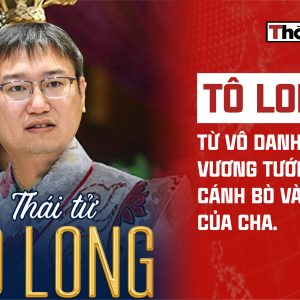 TÔ LONG – TỪ VÔ DANH THÀNH VƯƠNG TƯỚNG NHỜ CÁNH BÒ VÀNG CỦA CHA.