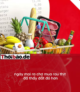 PHÁT TIỀN QUỐC KHÁNH: MỠ BÔI MÉP HAY MỠ ĐỐT DÂN?