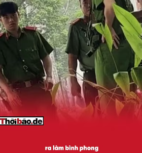 SAO KHÔNG DẸP F88, LẠI MỜI ƯNG HOÀNG PHÚC LÊN PHƯỜNG?