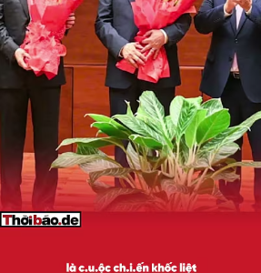 CUỘC ĐUA TỨ TRỤ 2026: CHÍNH KIỆT SỨC, HƯNG – GIANG NỔI LÊN