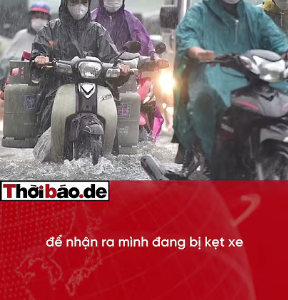 THIÊN ĐƯỜNG HÀI LÒNG: 90% DÂN TP.HCM MỪNG VÌ… KHÔNG BIẾT MÌNH CÓ HÀI LÒNG KHÔNG